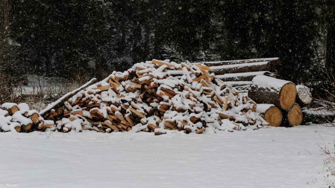 Appartamento Haus Timmler Sankt Anton am Arlberg Esterno foto