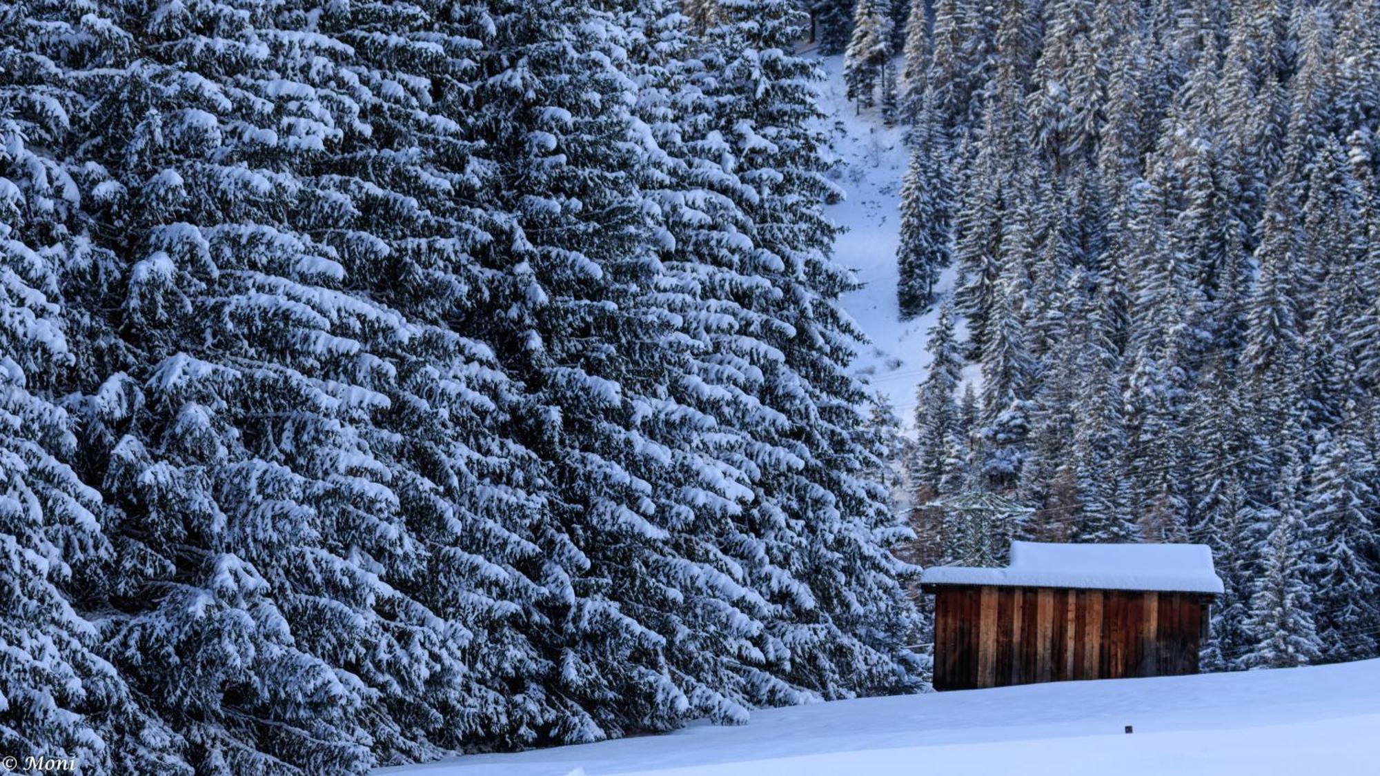 Appartamento Haus Timmler Sankt Anton am Arlberg Esterno foto