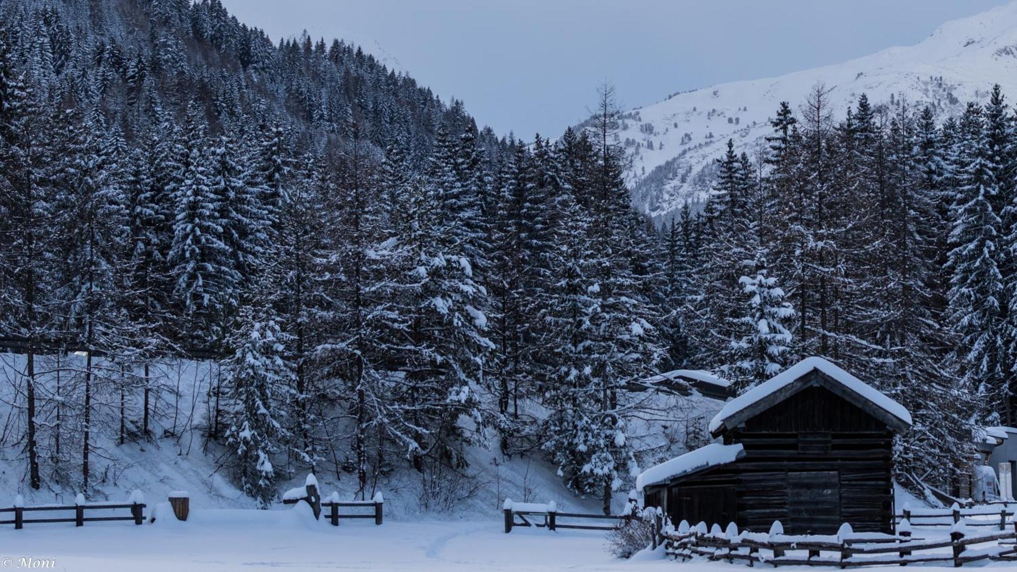 Appartamento Haus Timmler Sankt Anton am Arlberg Esterno foto